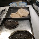 Img4.JPG